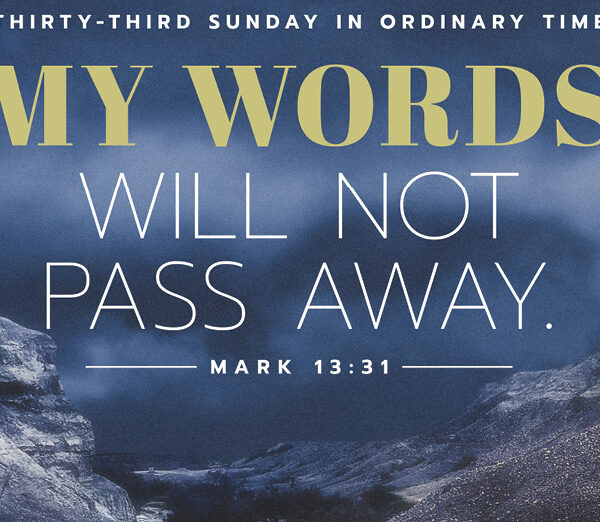 Father Duc’s Weekly Reflection – Nov. 17, 2024