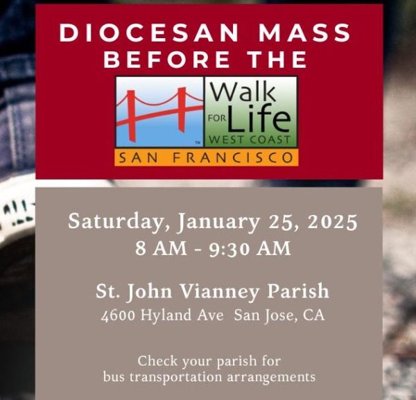 Diocesan Mass before the Walk for Life