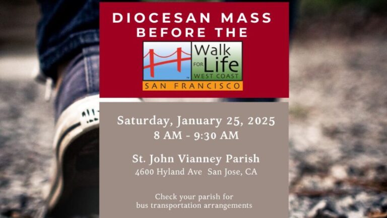 Diocesan Mass before the Walk for Life