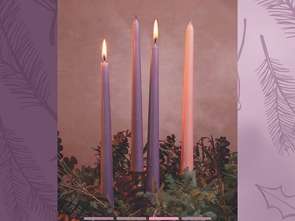 Father Duc’s Weekly Reflection – Dec. 8, 2024