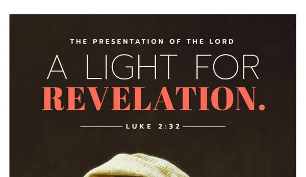 Fr. Duc’s Weekly Reflection – Feb. 2, 2025