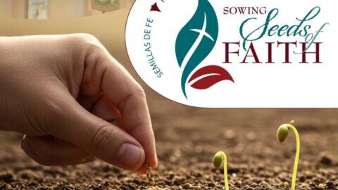Sowing Seeds of Faith