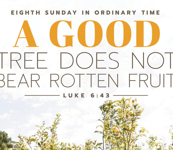 Fr. Duc’s Message of the Week Mar. 2, 2025