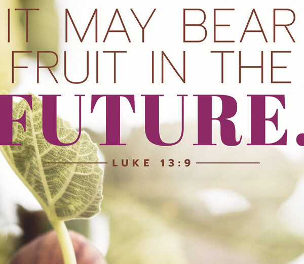 Fr. Duc’s Weekly Message – Mar. 23, 2025