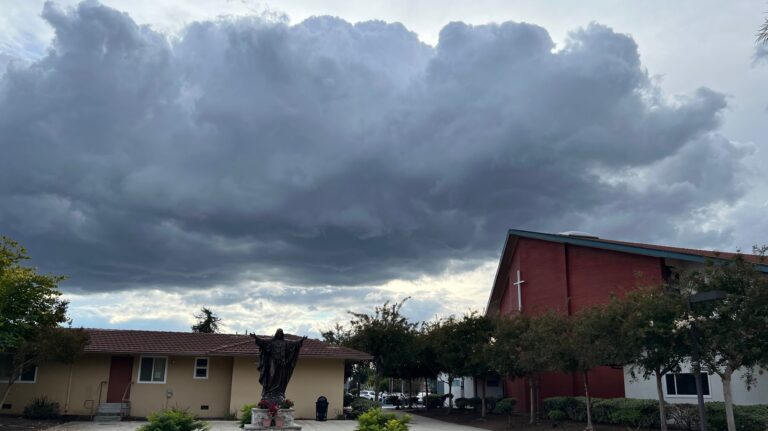 Annual Financial Report (FY 2024- 2025)